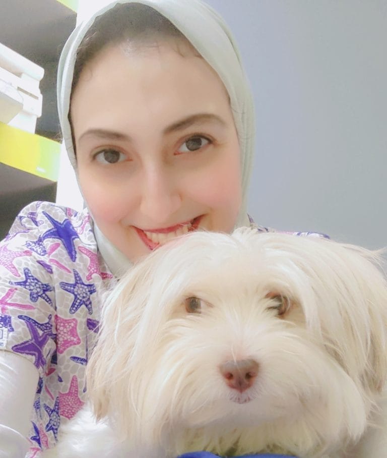الرئيسية 6 Oplus_0
