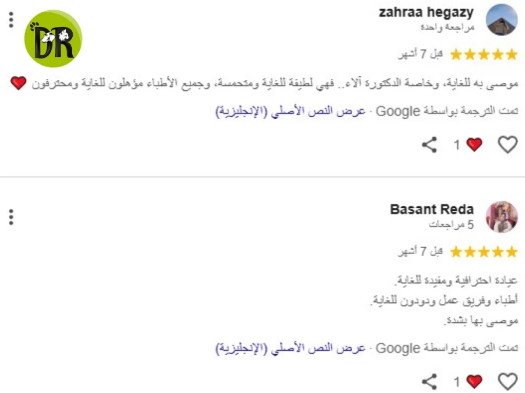 عمليات جراحية بيطرية في الشيخ زايد: هل تبحث عن الأفضل؟ 1 عمليات جراحية بيطرية في الشيخ زايد 1