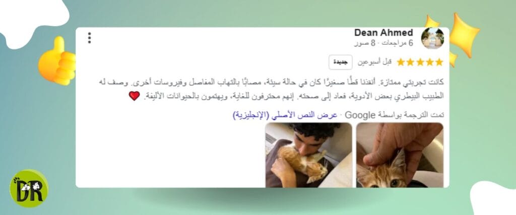 التخلص من براغيث القطط: حل بسيط يغفل عنه الجميع 2 تقييمات مستخدمي دكتور باوز لخدمات الرعاية البيطرية.