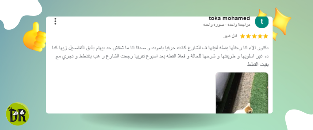 ترجيع القطط… هل يتعلق بالغذاء أم بمرض خفي؟ 2 تقييمات وآراء العملاء حول خدمات دكتور باوز الطبية والبيطرية.